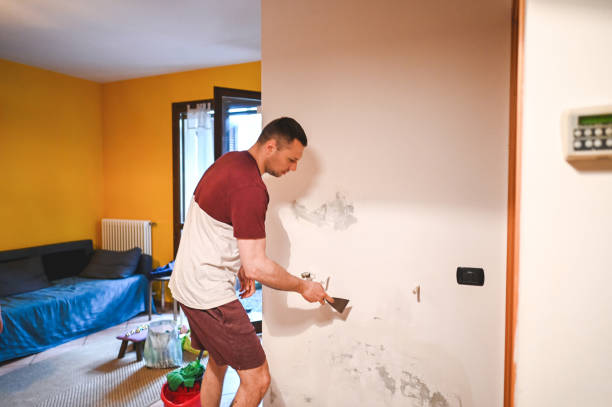 Mold Removal Process in Philmont, NY